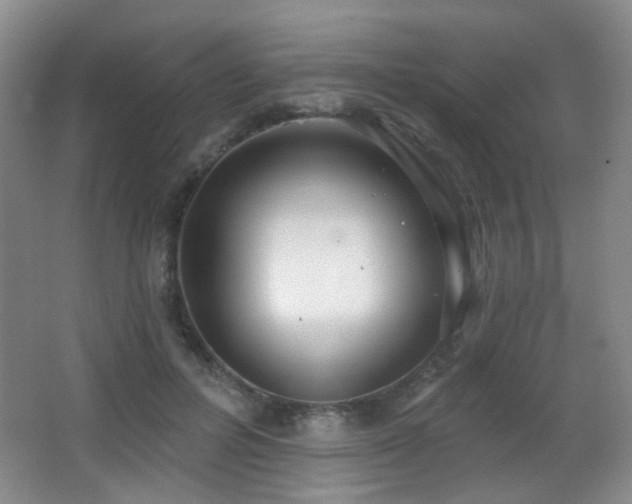 X0000066990600200603241318