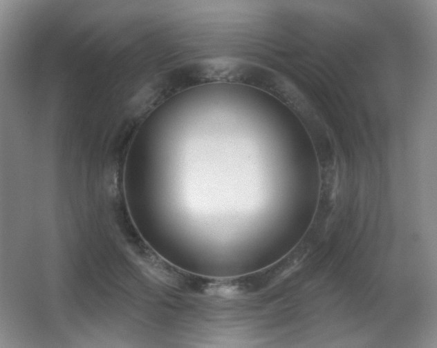 X0000066990602200603241318