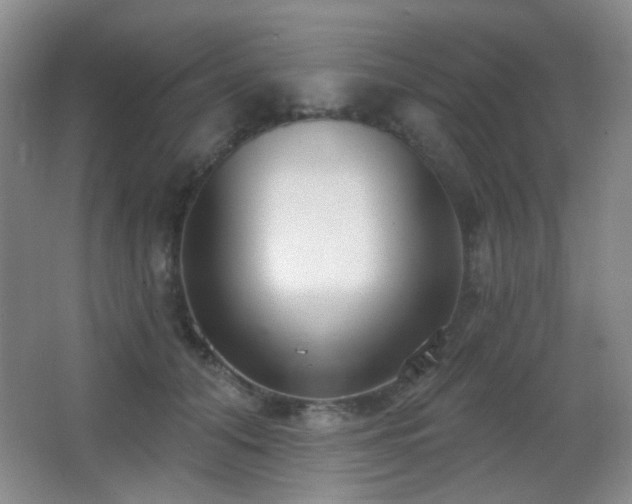X0000066990608200603241318