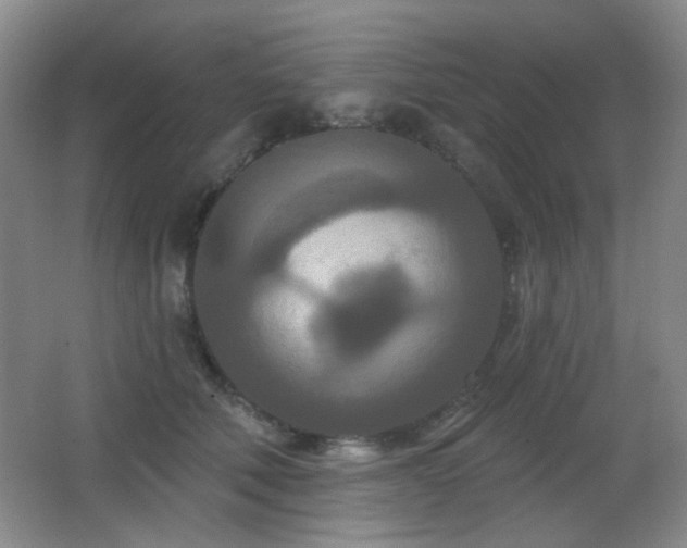 X0000066990610200603241318