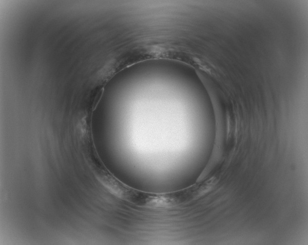 X0000066990611200603241318