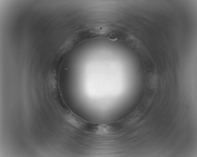 X0000066990612200603241318