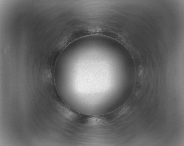 X0000066990614200603241318
