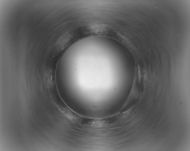 X0000066990615200603241318