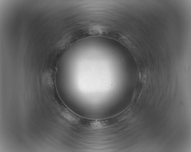 X0000066990616200603241318