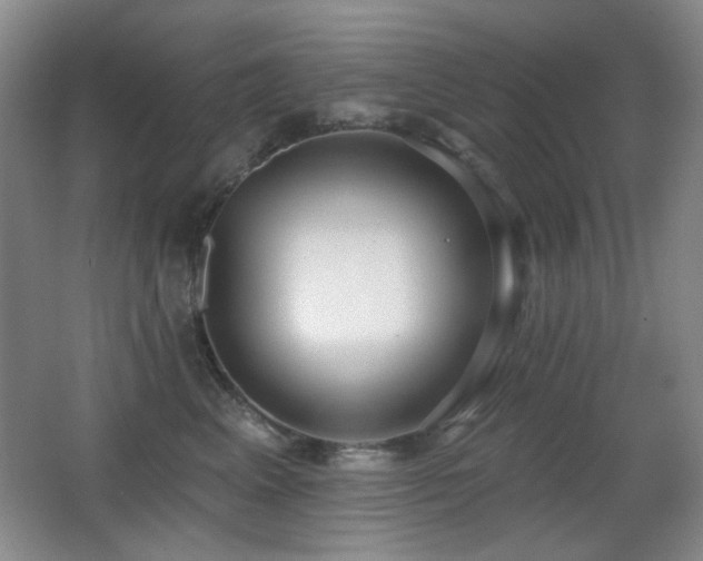X0000066990617200603241318