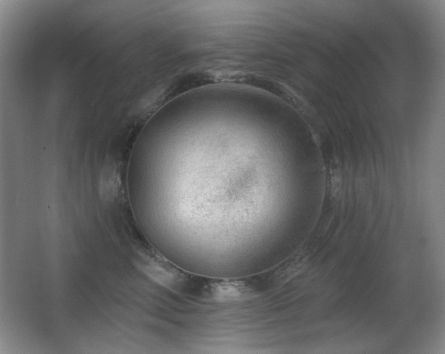 X0000066990618200603241318