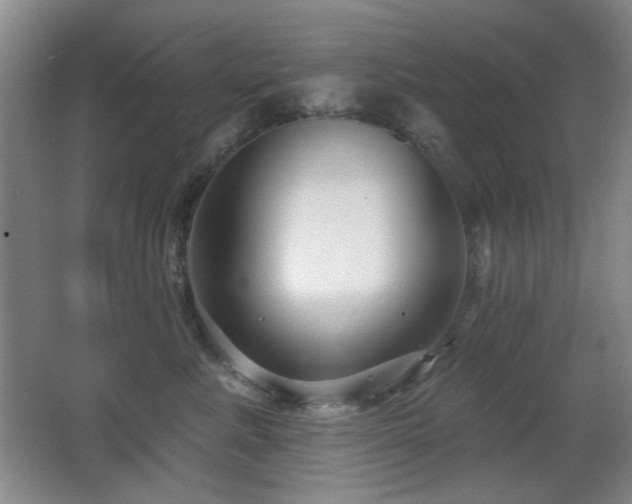 X0000066990619200603241318