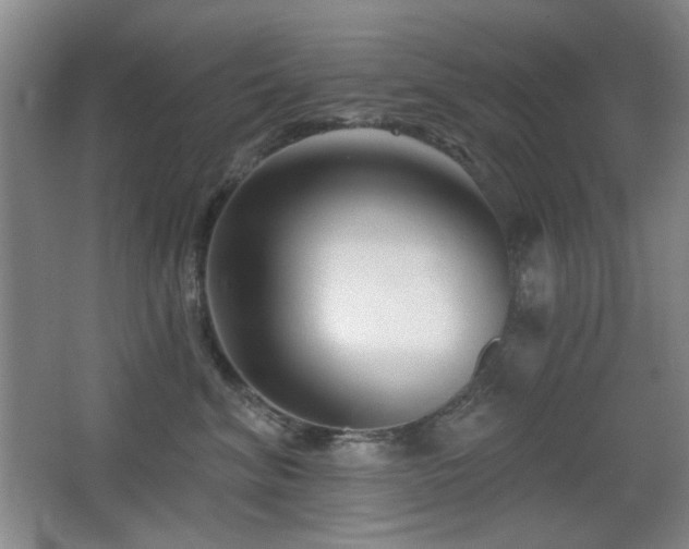 X0000066990620200603241318