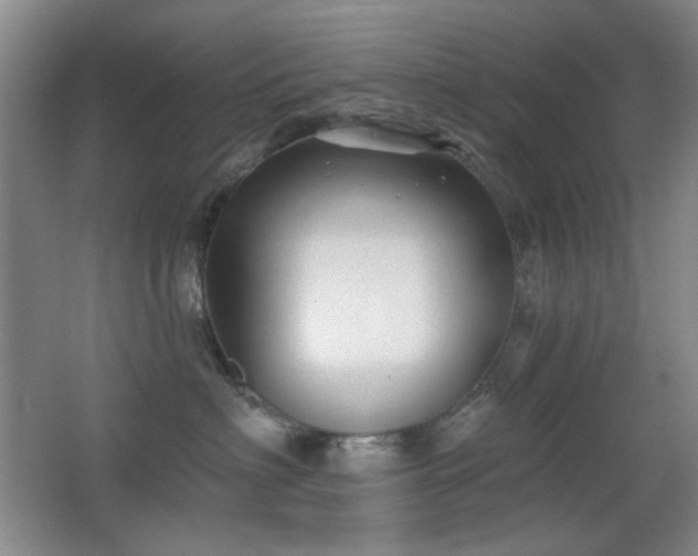 X0000066990622200603241318