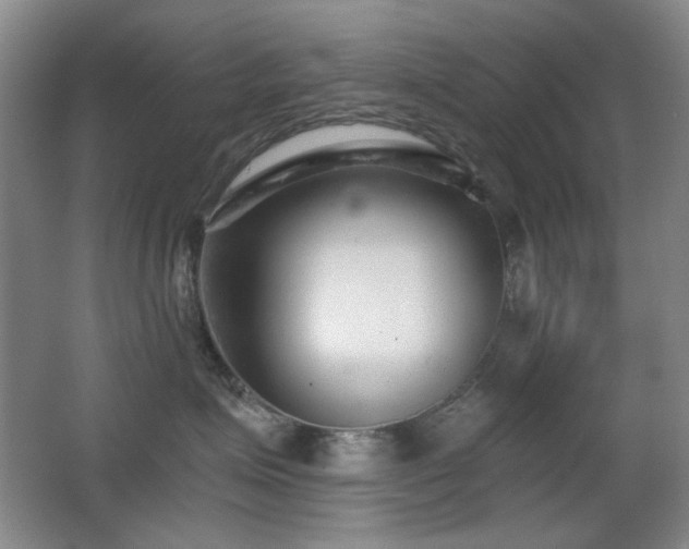 X0000066990623200603241318