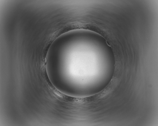 X0000066990624200603241318