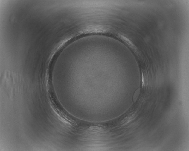 X0000066990627200603241317