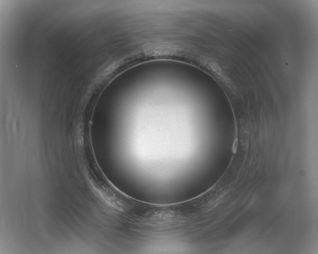 X0000066990631200603241317