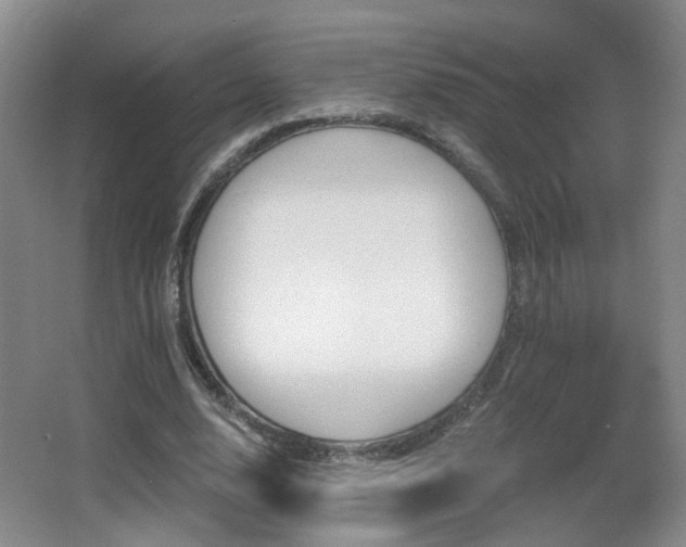 X0000066990632200603241317
