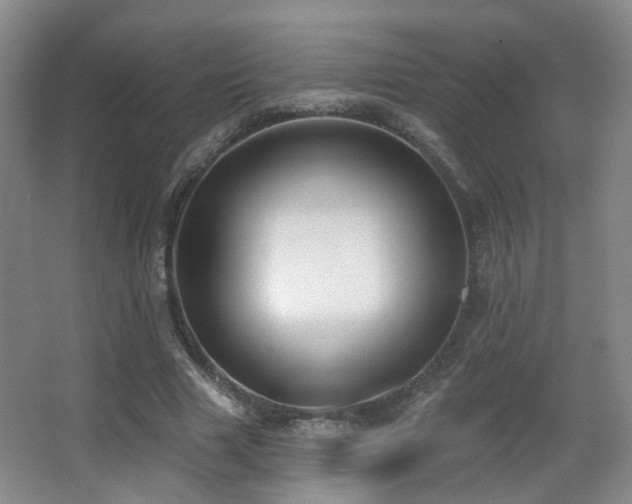 X0000066990633200603241317