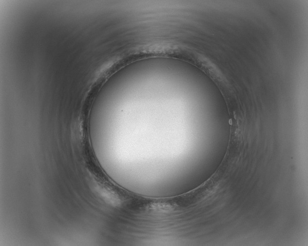 X0000066990636200603241317