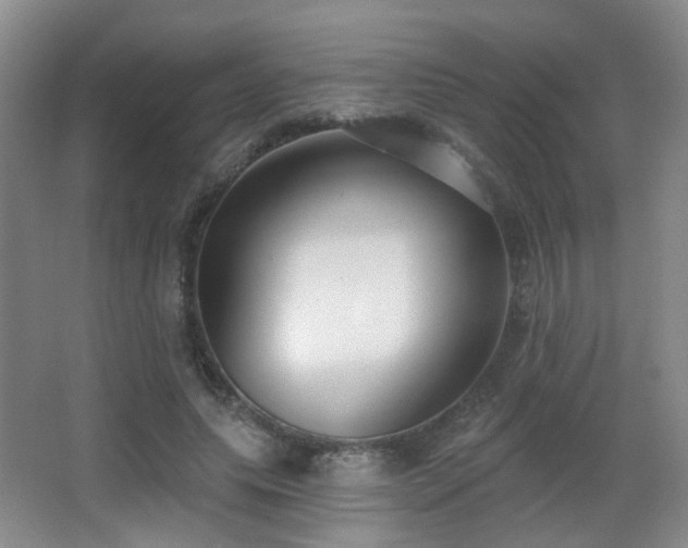 X0000066990639200603241317