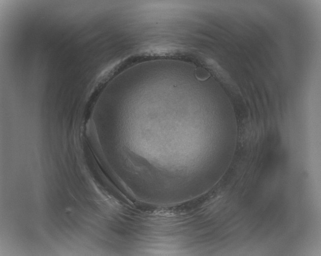 X0000066990640200603241317