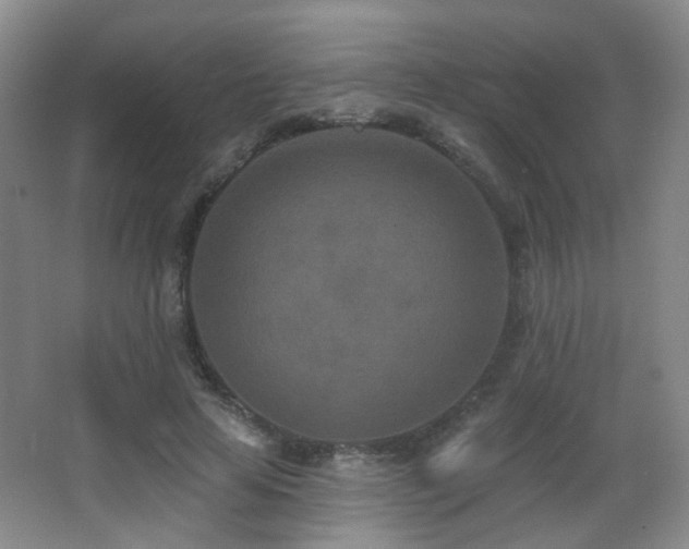 X0000066990641200603241317