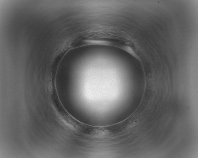 X0000066990642200603241317
