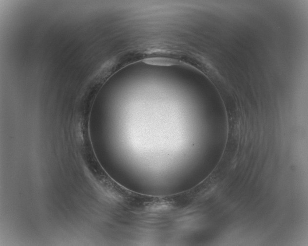X0000066990643200603241317