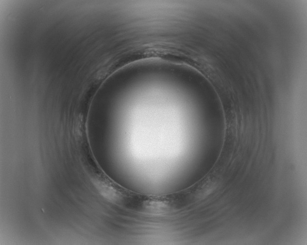 X0000066990649200603241317