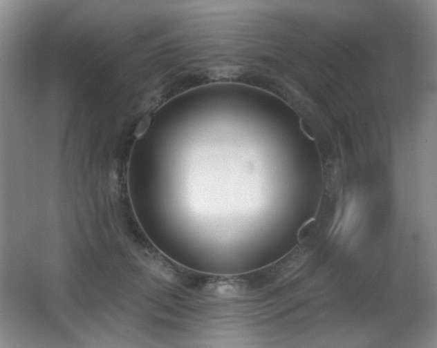 X0000066990655200603241317