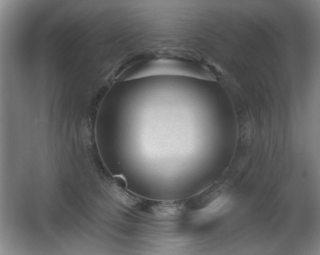 X0000066990661200603241317