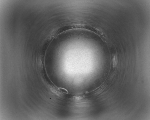 X0000066990662200603241317