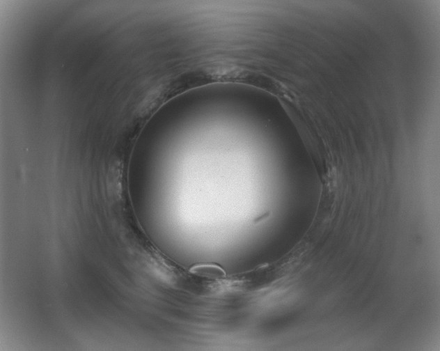X0000066990664200603241317