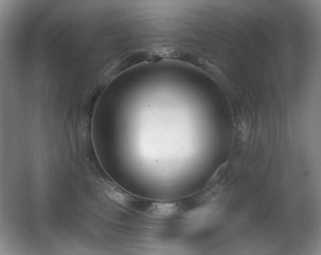 X0000066990665200603241317
