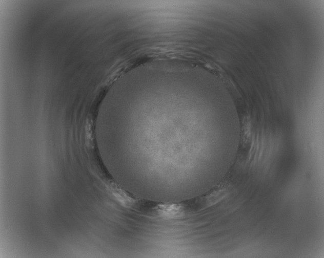 X0000066990667200603241317