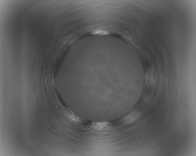 X0000066990671200603241318