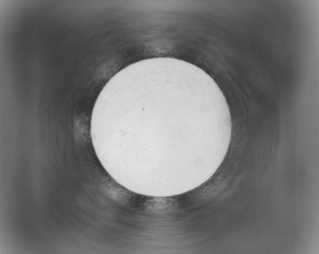X0000066990672200603241318