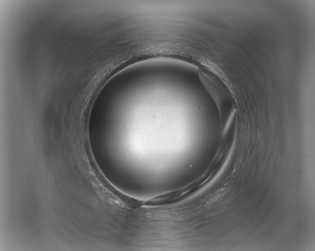 X0000066990673200603241317