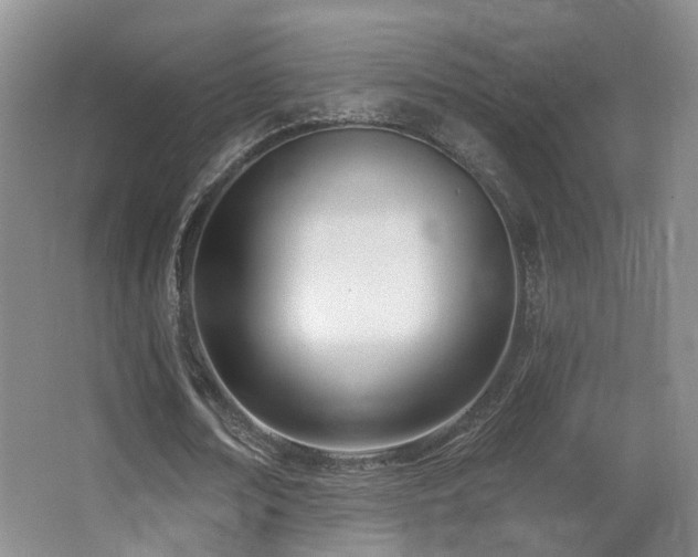 X0000066990674200603241317
