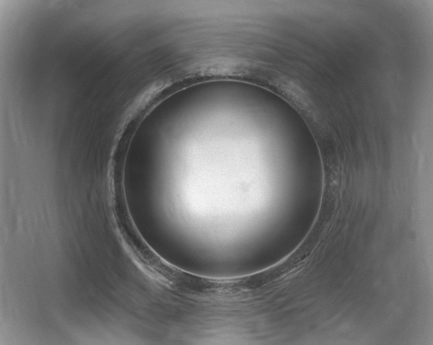 X0000066990678200603241317