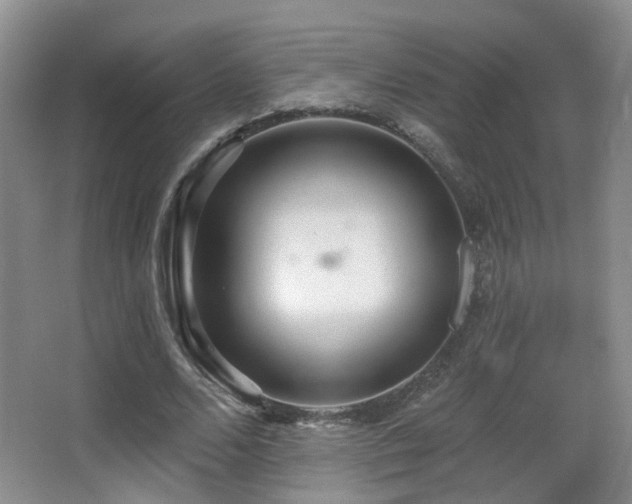 X0000066990680200603241317