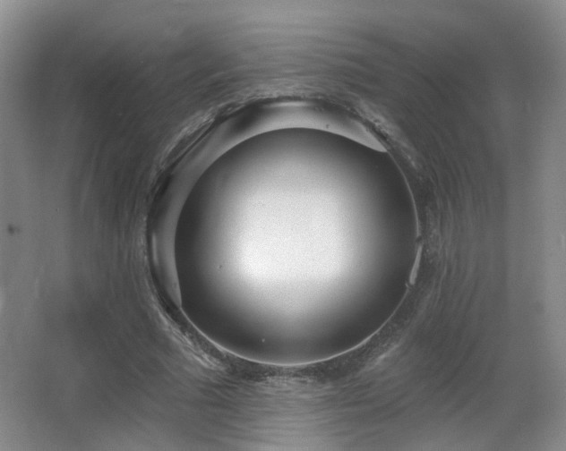 X0000066990681200603241317