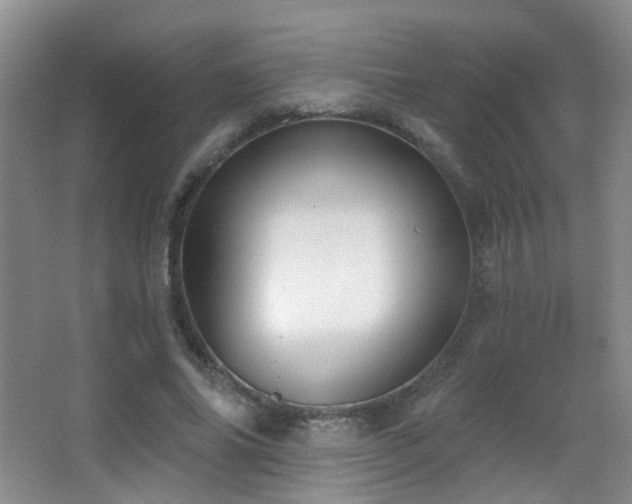 X0000066990686200603241317