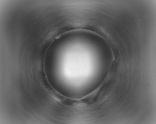 X0000066990689200603241316