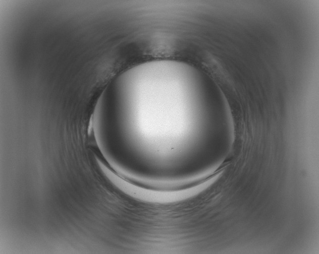 X0000066990697200603241316