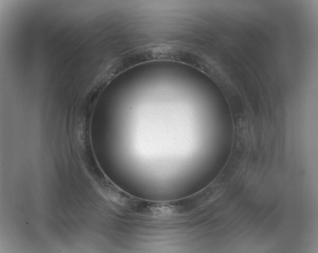 X0000066990698200603241316