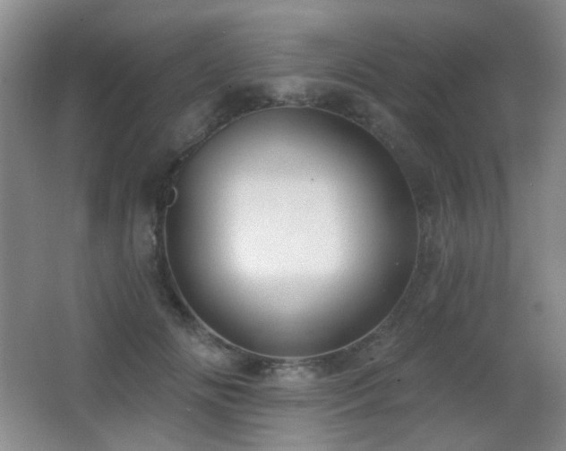 X0000066990702200603241316