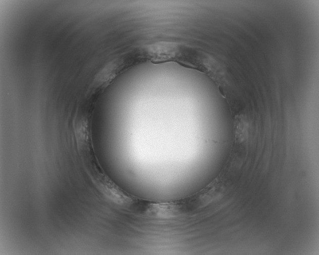 X0000066990713200603241316
