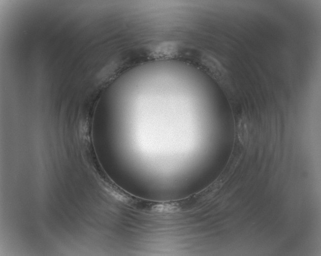 X0000066990714200603241316