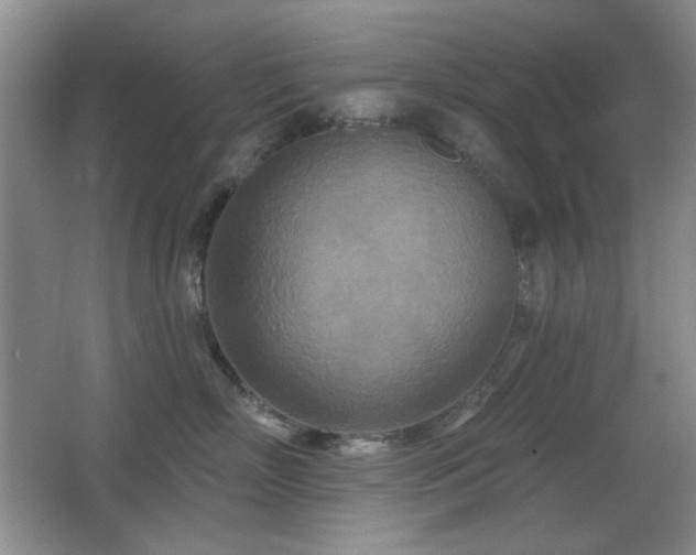 X0000066990718200603241316