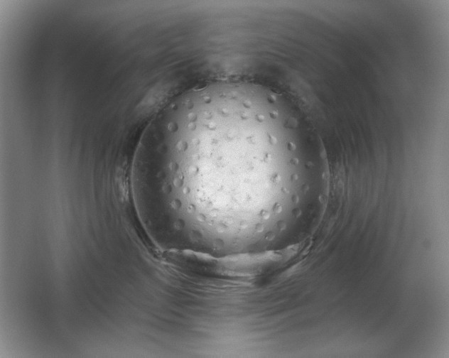 X0000066990719200603241316
