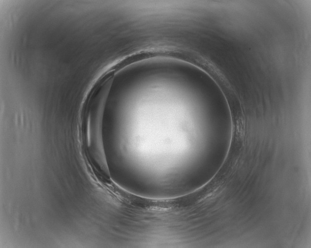X0000066990724200603241315